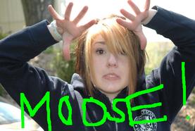 Kari Moose